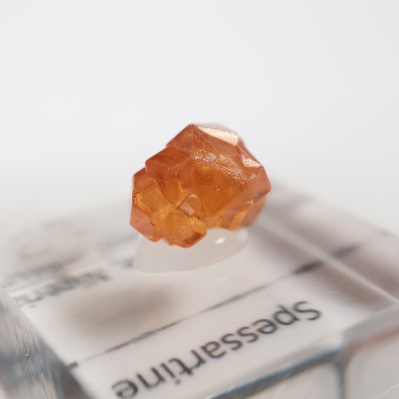 �ʥ������ꥢ�� ���ڥ���ƥ���