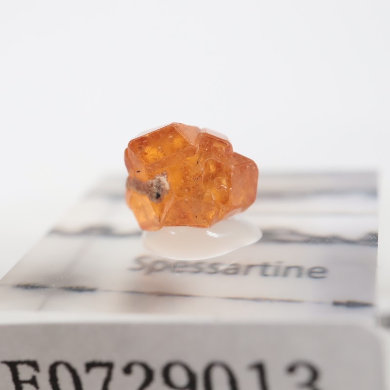 �ʥ������ꥢ�� ���ڥ���ƥ���