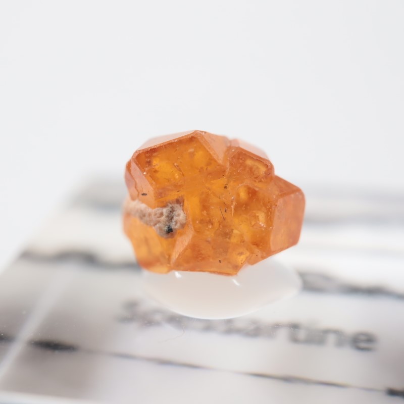 �ʥ������ꥢ�� ���ڥ���ƥ���