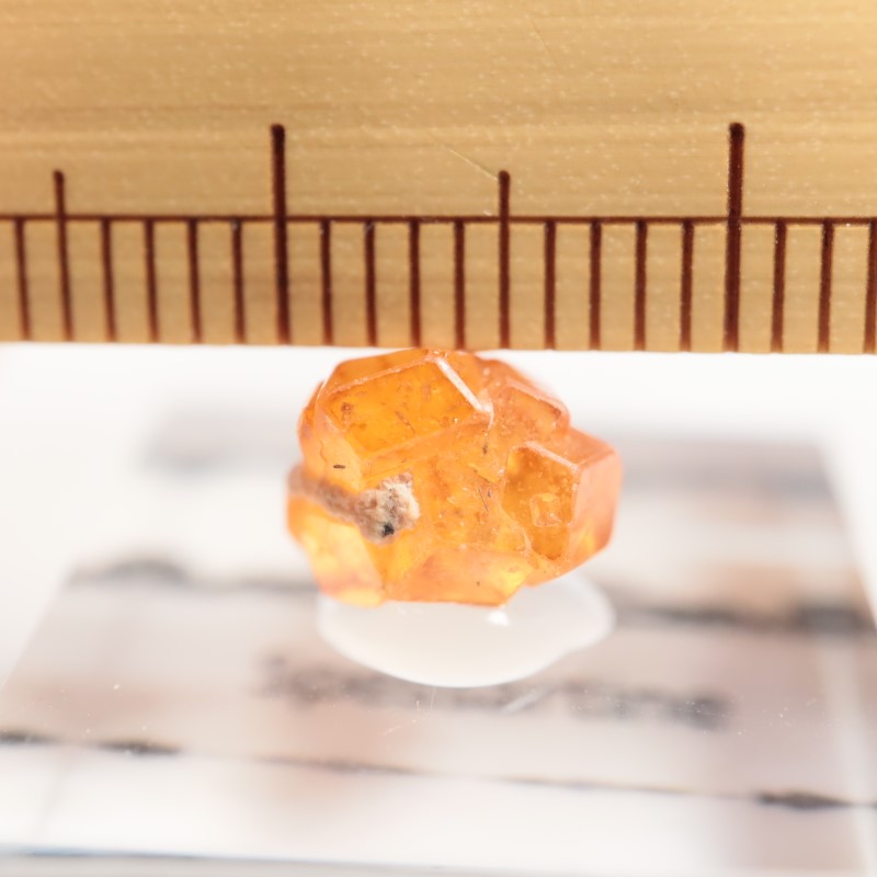 �ʥ������ꥢ�� ���ڥ���ƥ���