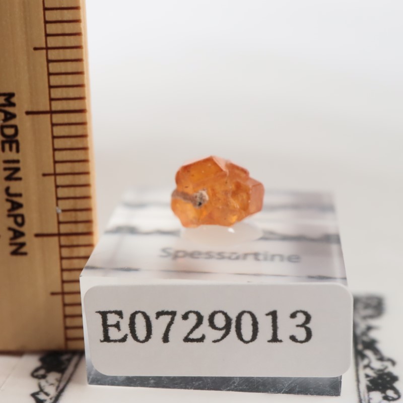 �ʥ������ꥢ�� ���ڥ���ƥ���