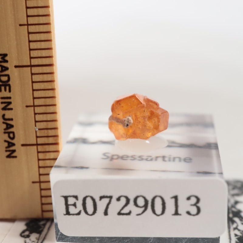 �ʥ������ꥢ�� ���ڥ���ƥ���