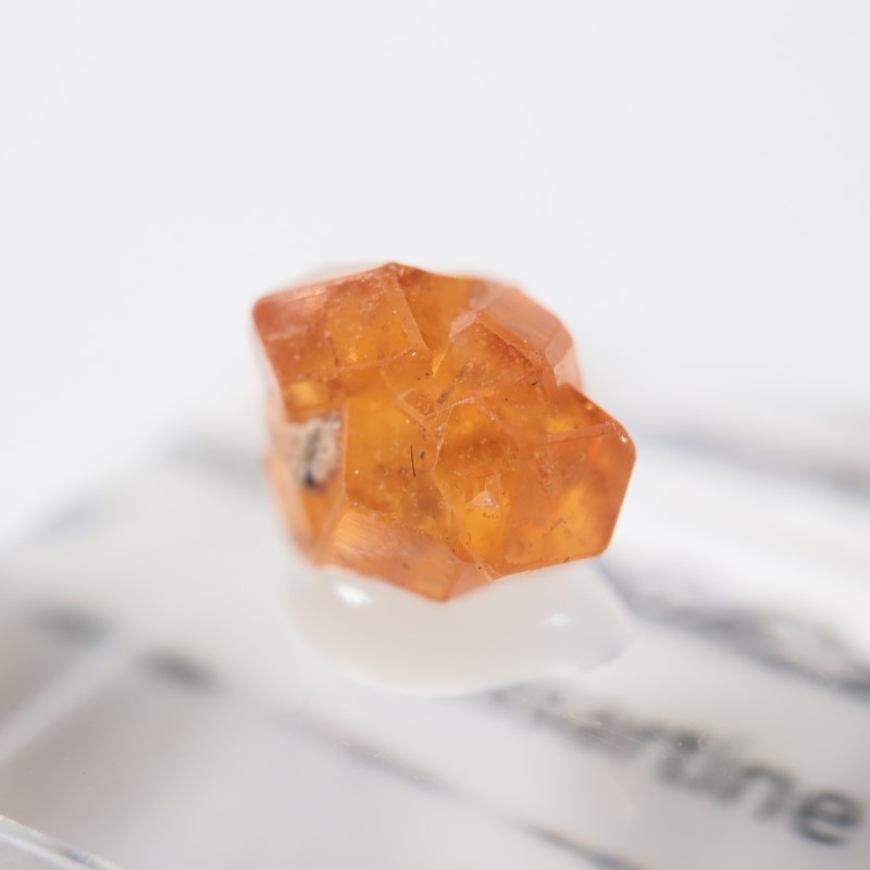 �ʥ������ꥢ�� ���ڥ���ƥ���