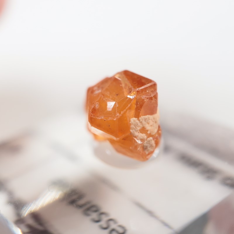 �ʥ������ꥢ�� ���ڥ���ƥ���