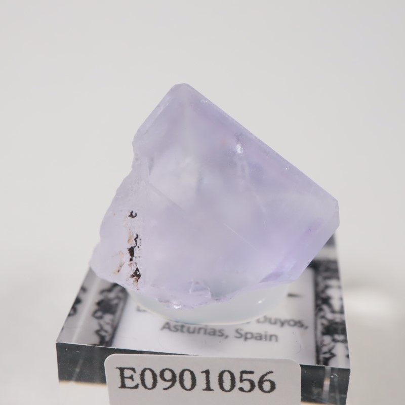 ���ڥ��� �ե����饤��