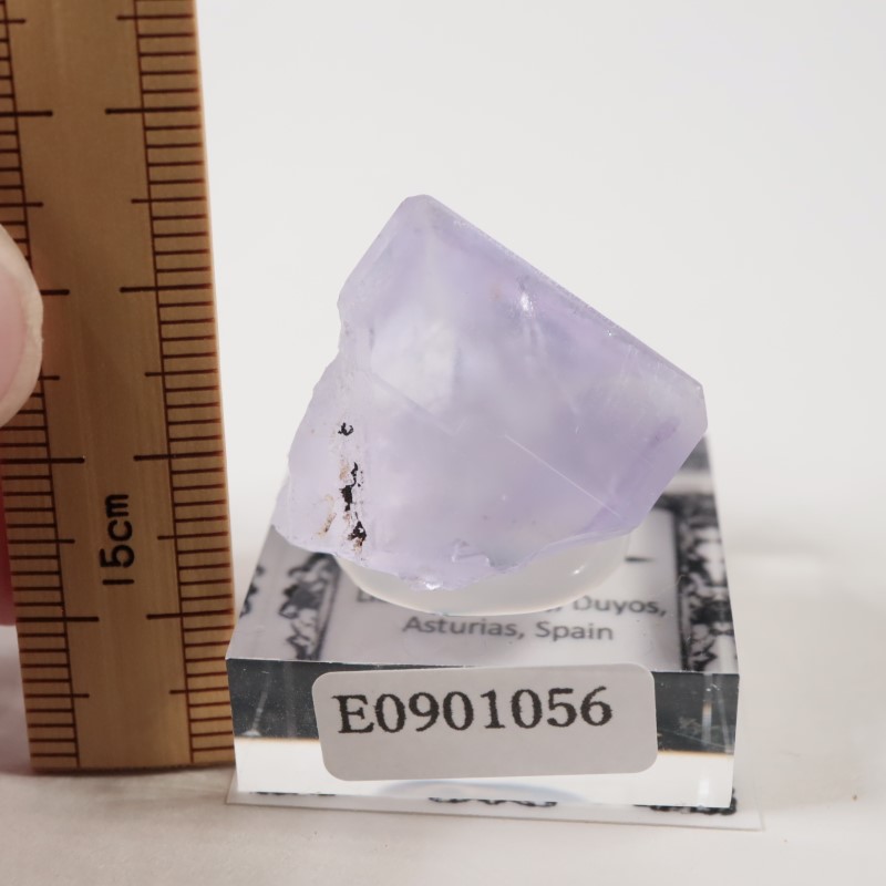 ���ڥ��� �ե����饤��