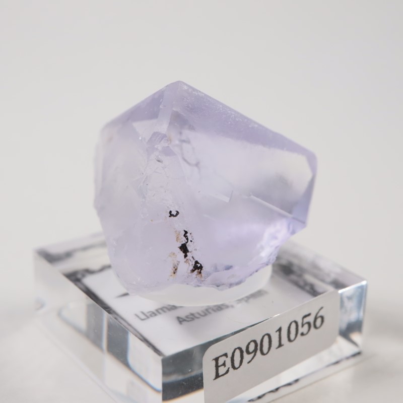 ���ڥ��� �ե����饤��