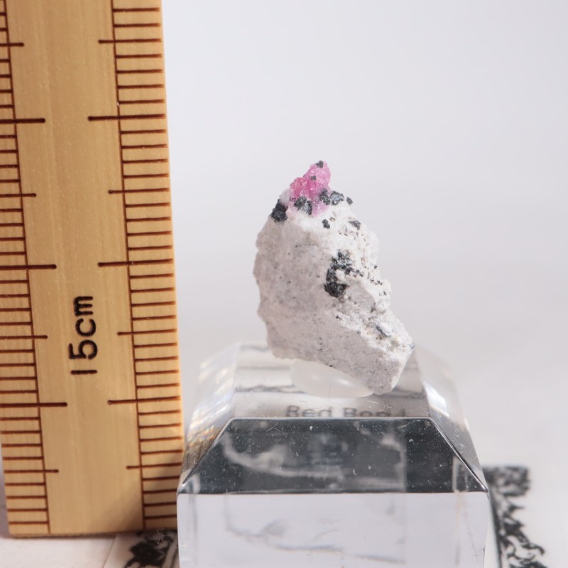 �楿���� ��åɥ٥��