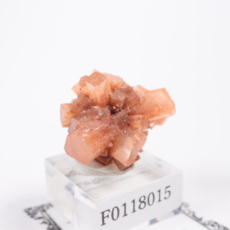 ����å��� ���饴�ʥ���