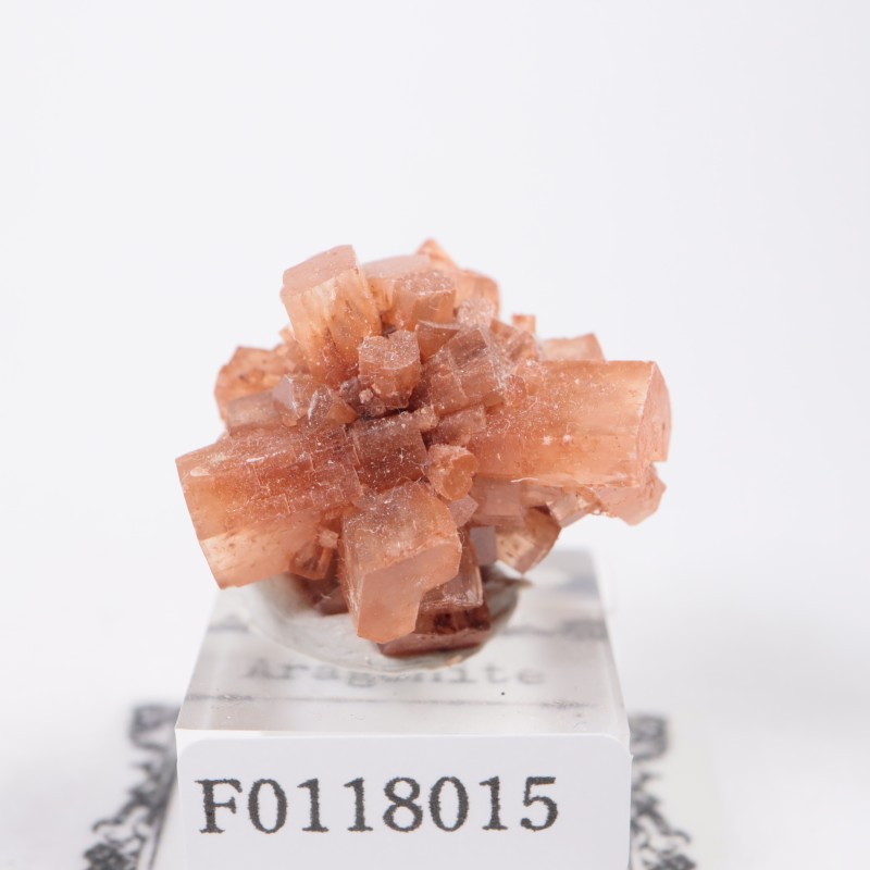 ����å��� ���饴�ʥ���