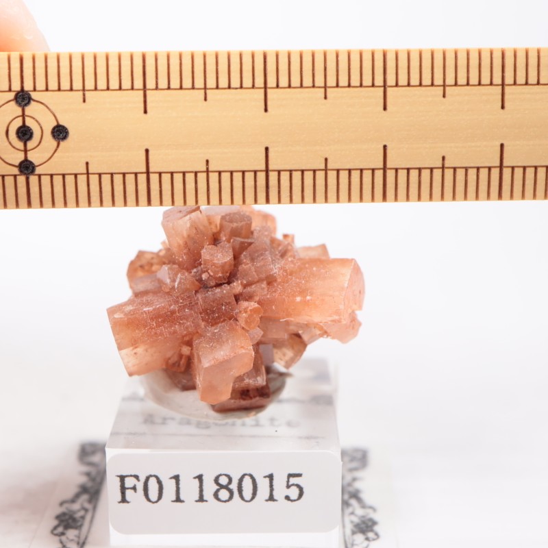 ����å��� ���饴�ʥ���