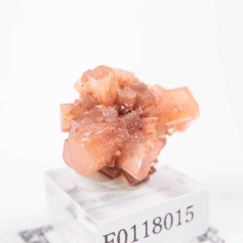 ����å��� ���饴�ʥ���