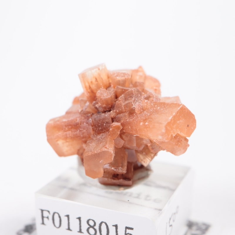 ����å��� ���饴�ʥ���