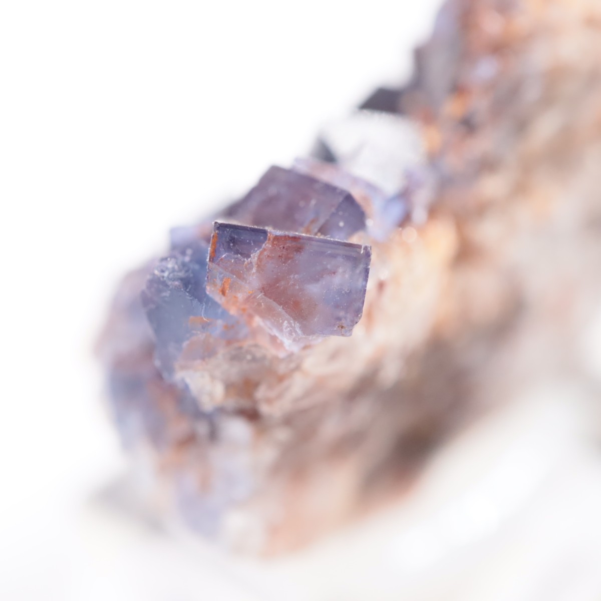 �ӥ󥬥໺ �ե����饤��