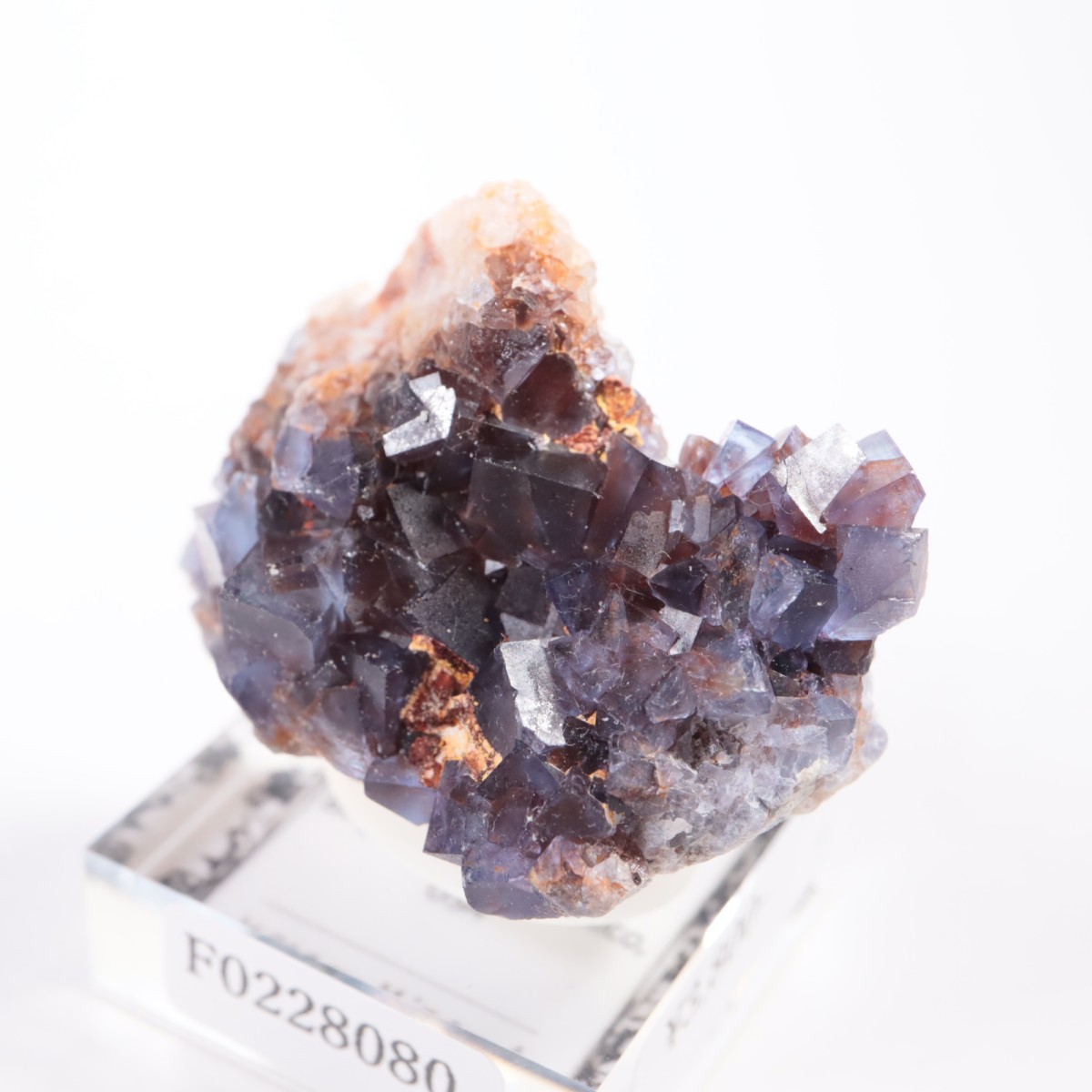 �ӥ󥬥໺ �ե����饤��