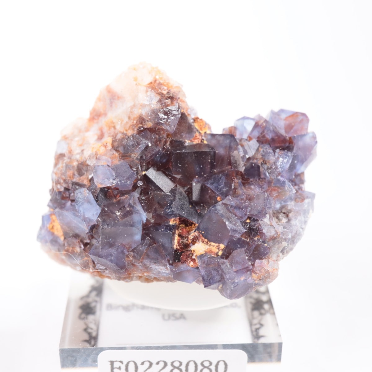 �ӥ󥬥໺ �ե����饤��