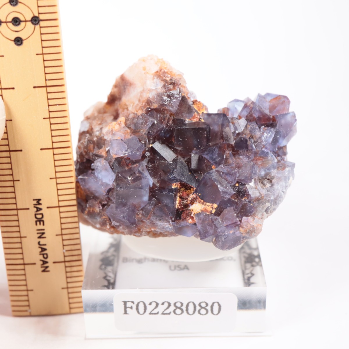 �ӥ󥬥໺ �ե����饤��