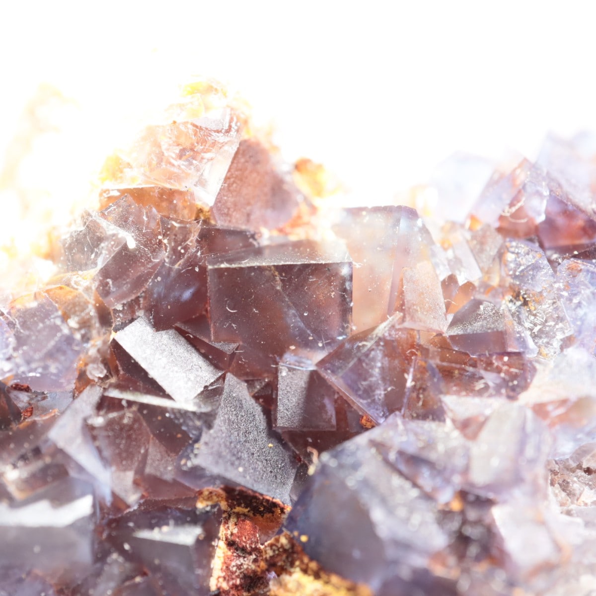 �ӥ󥬥໺ �ե����饤��