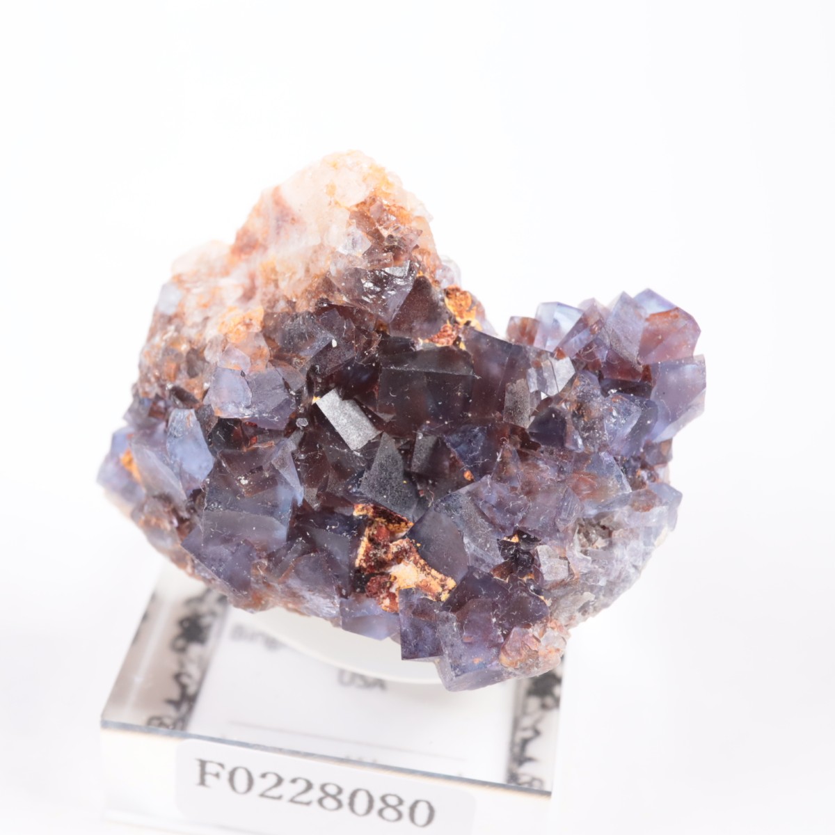 �ӥ󥬥໺ �ե����饤��