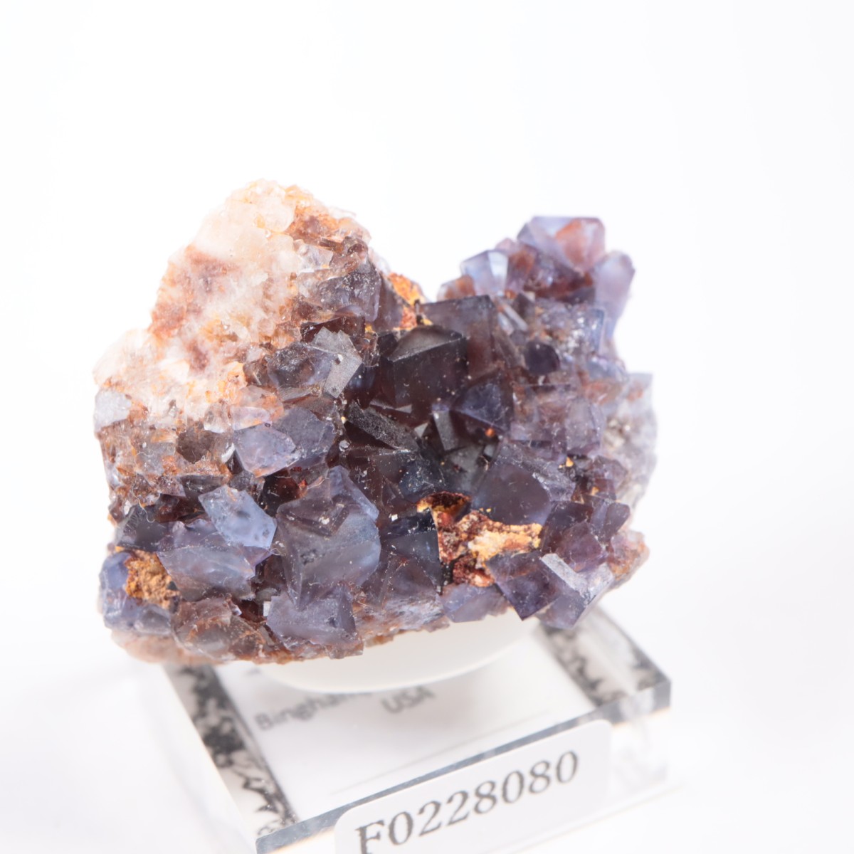 �ӥ󥬥໺ �ե����饤��