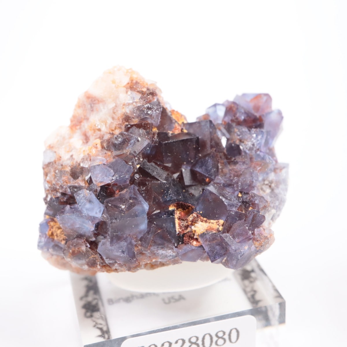 �ӥ󥬥໺ �ե����饤��