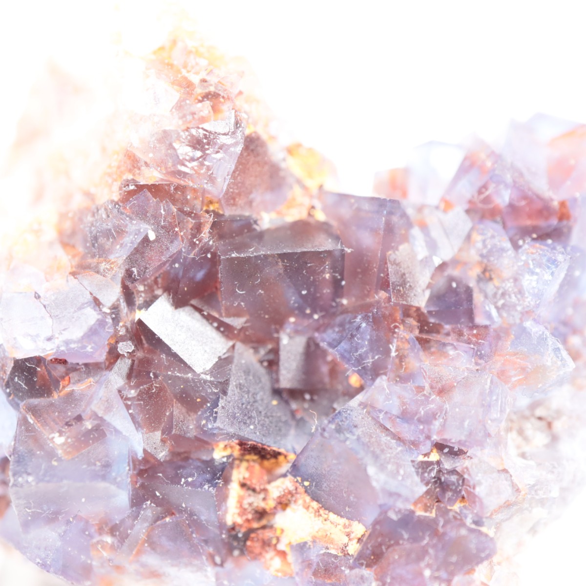 �ӥ󥬥໺ �ե����饤��