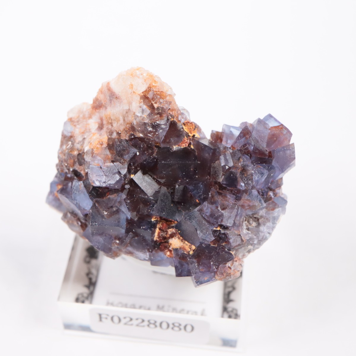 �ӥ󥬥໺ �ե����饤��