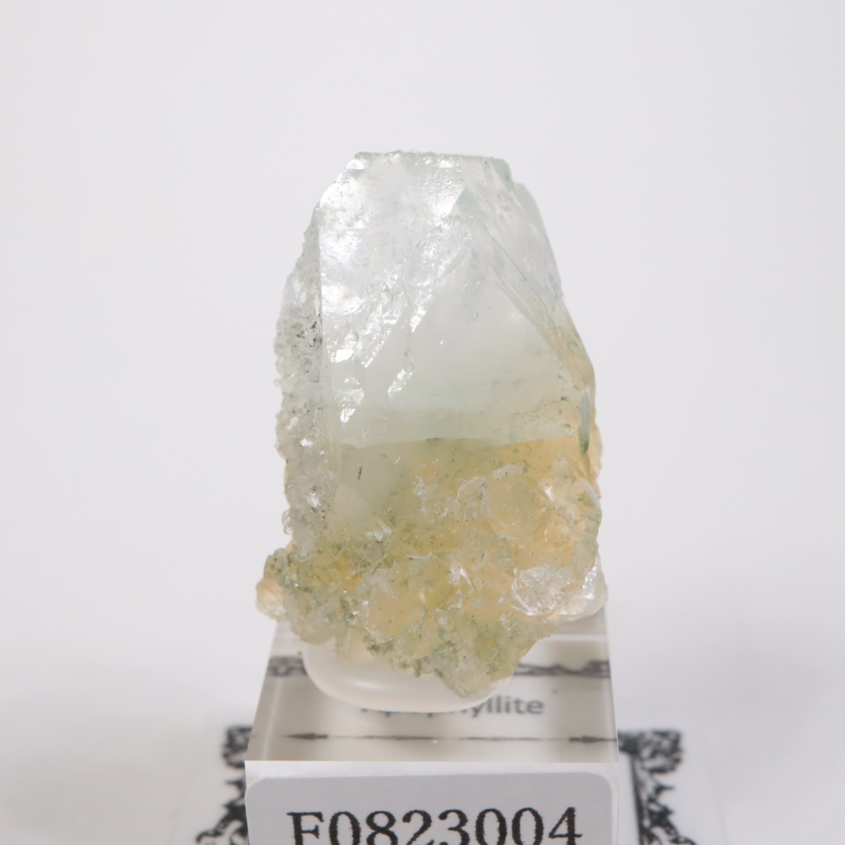 ����ɻ� ���ݥե��饤��