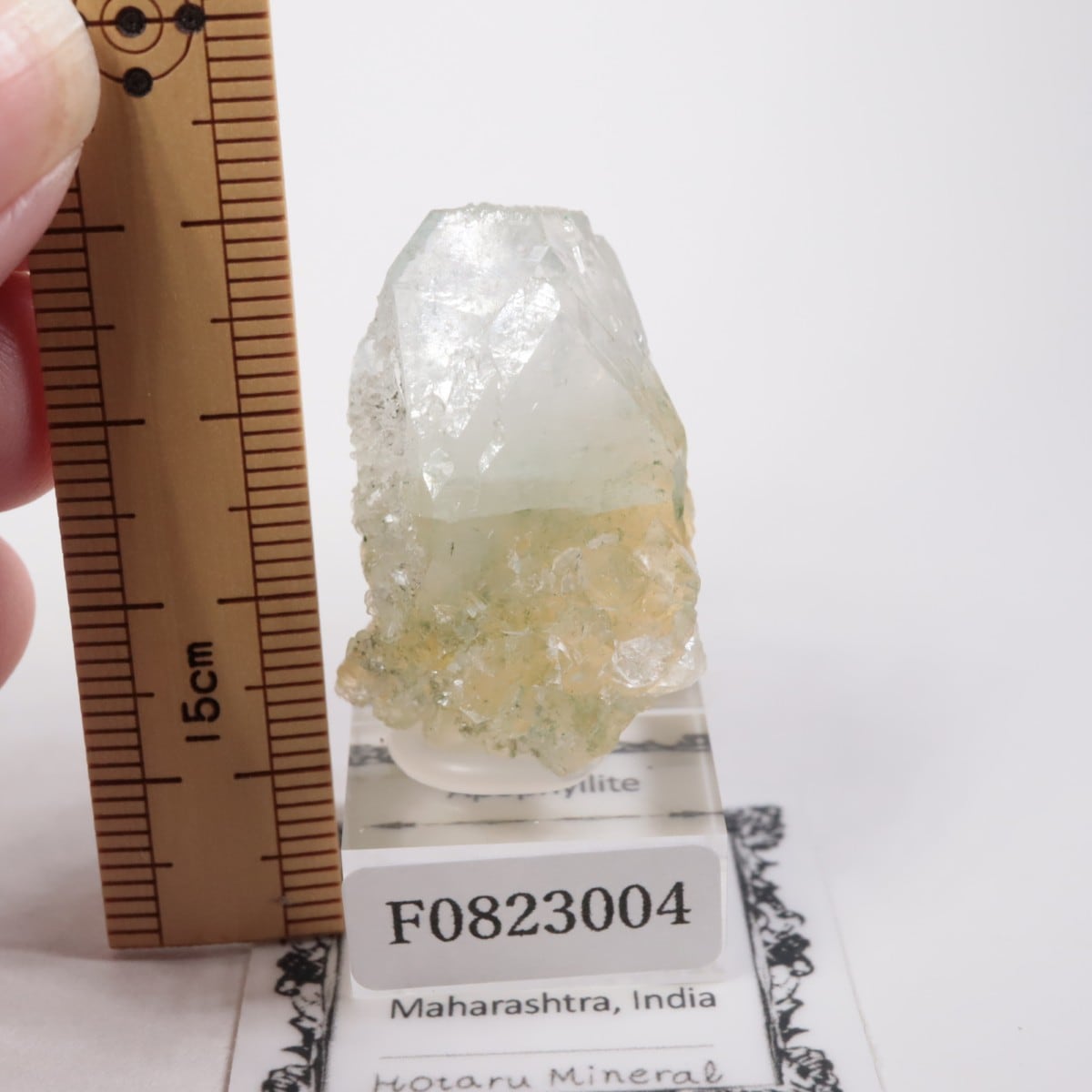 ����ɻ� ���ݥե��饤��