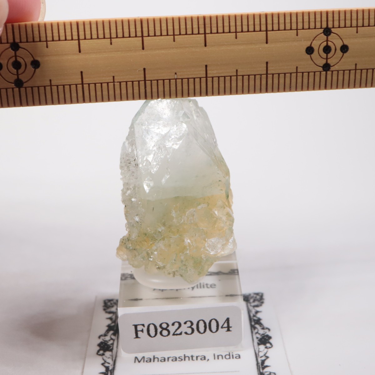 ����ɻ� ���ݥե��饤��