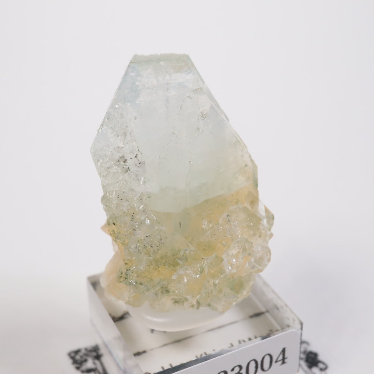 ����ɻ� ���ݥե��饤��