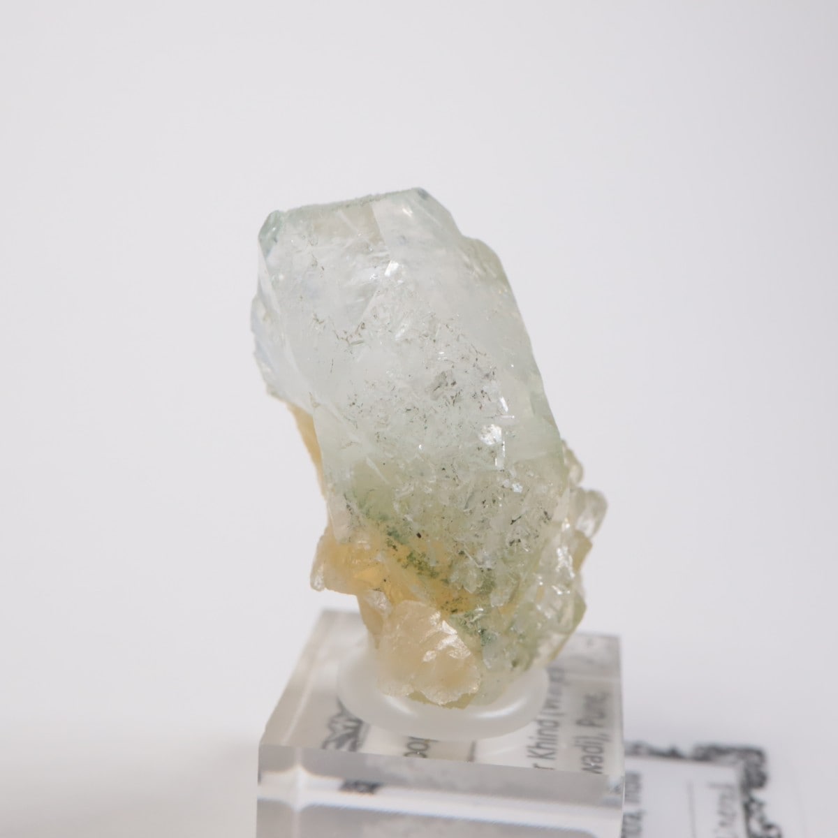 ����ɻ� ���ݥե��饤��