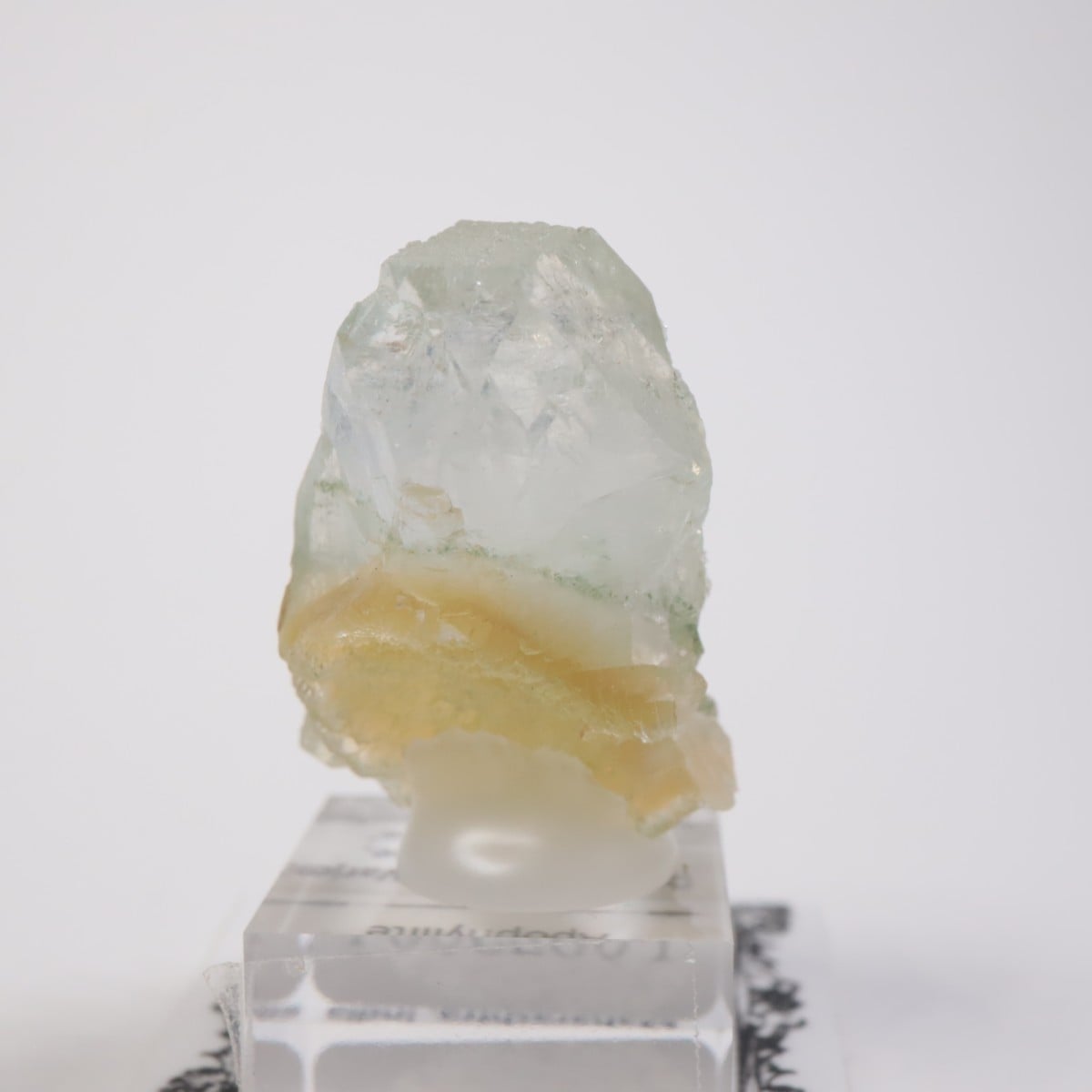 ����ɻ� ���ݥե��饤��