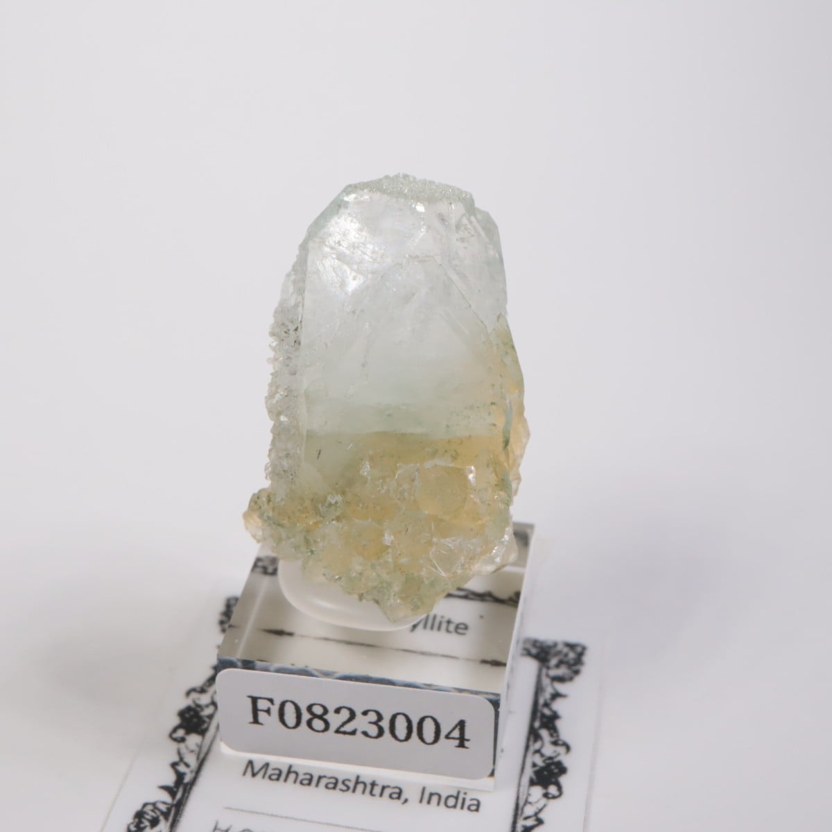 ����ɻ� ���ݥե��饤��