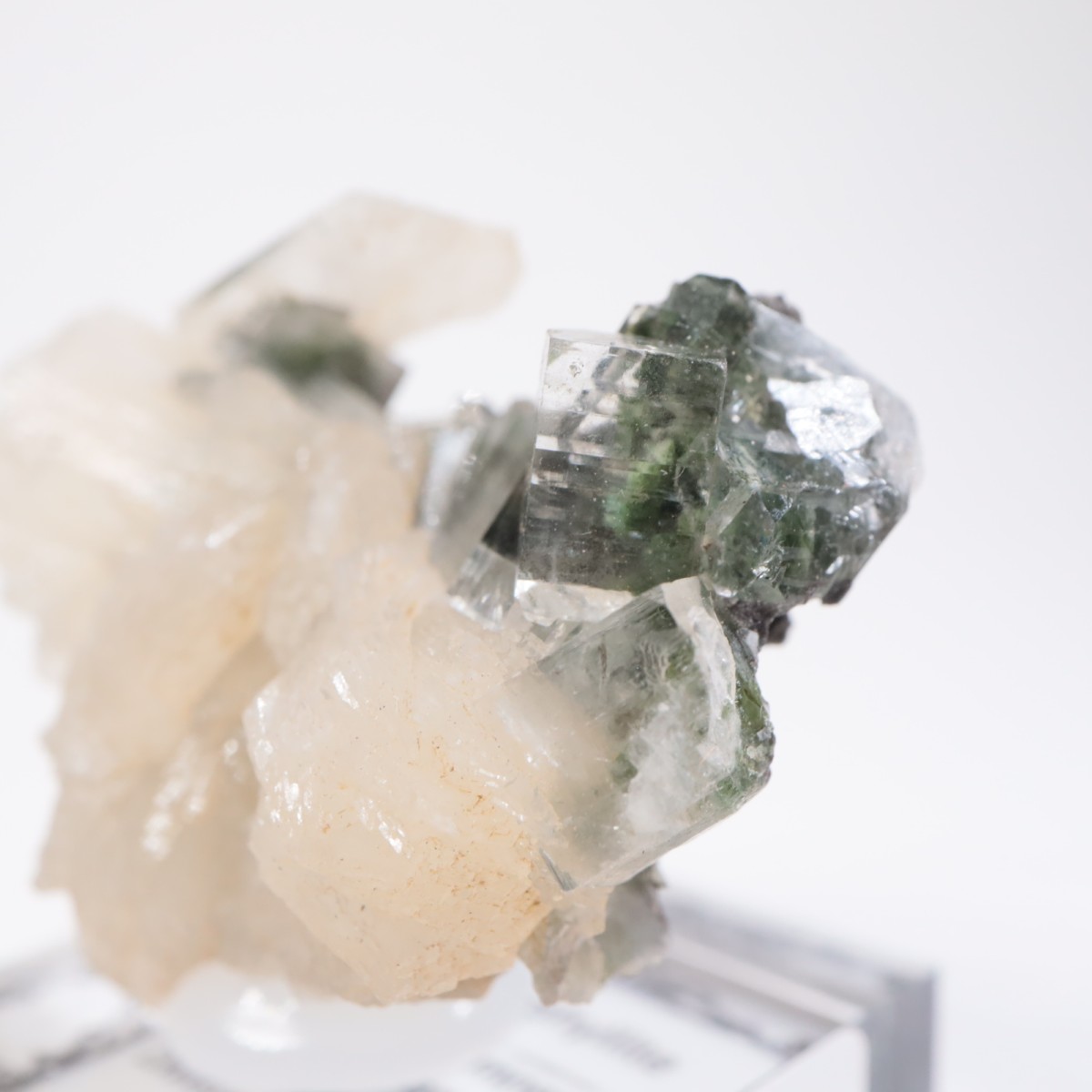 ����ɻ� ���ݥե��饤��