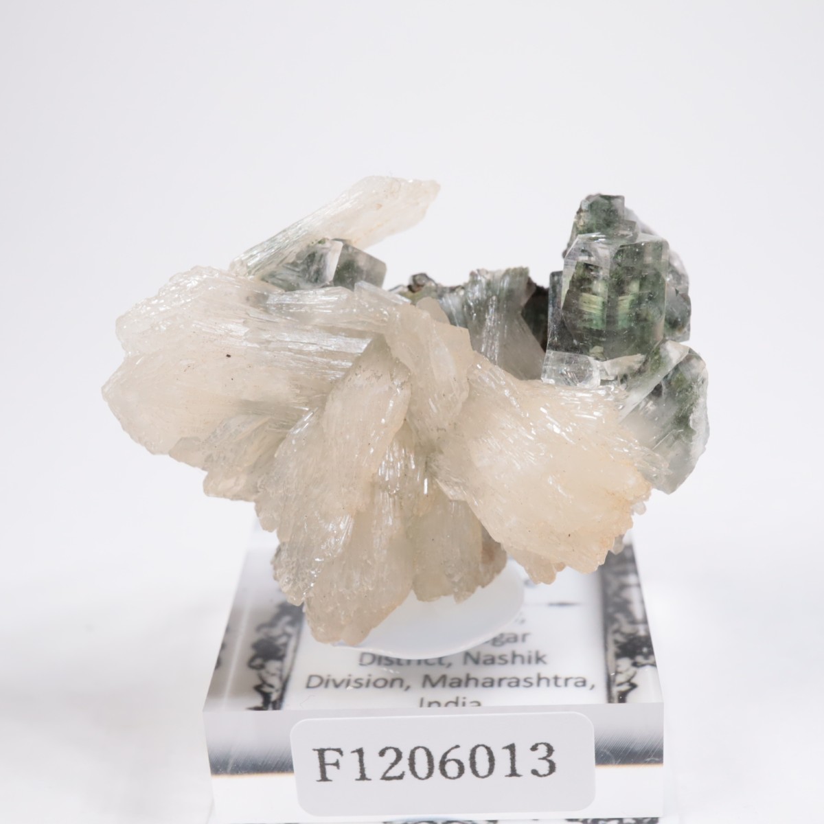 ����ɻ� ���ݥե��饤��