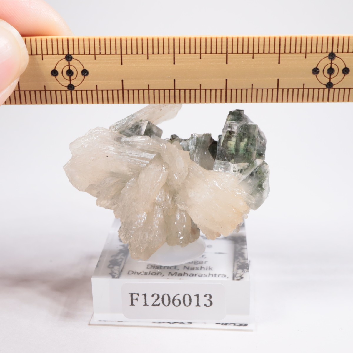 ����ɻ� ���ݥե��饤��