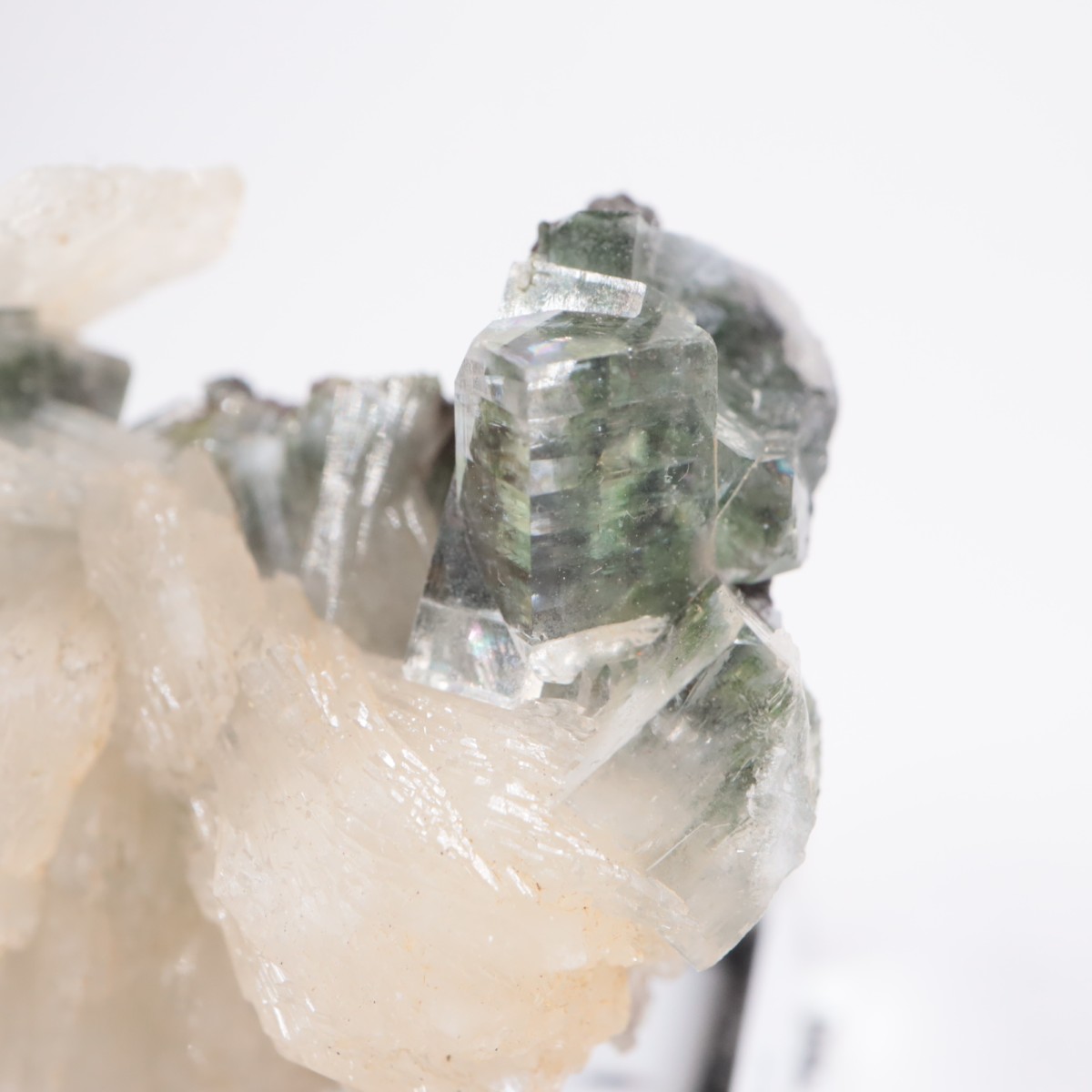 ����ɻ� ���ݥե��饤��