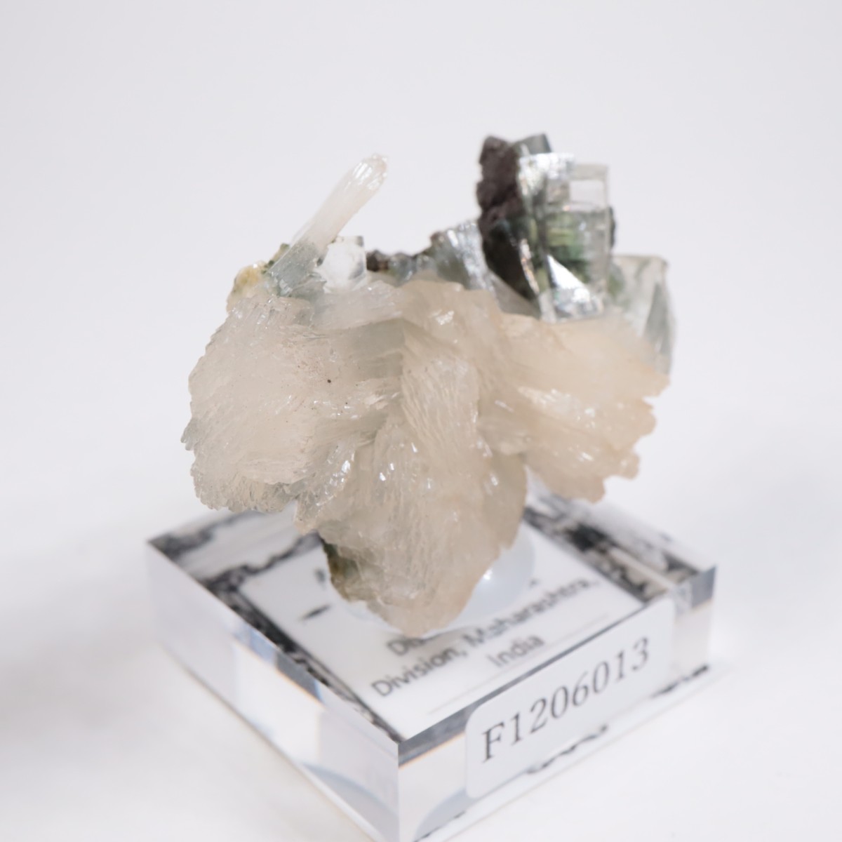 ����ɻ� ���ݥե��饤��