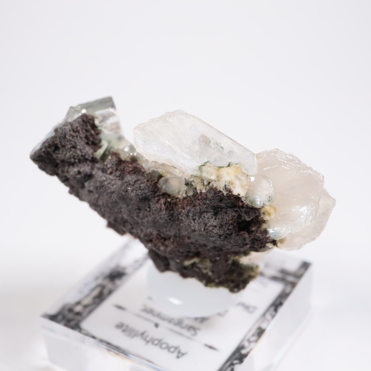 ����ɻ� ���ݥե��饤��