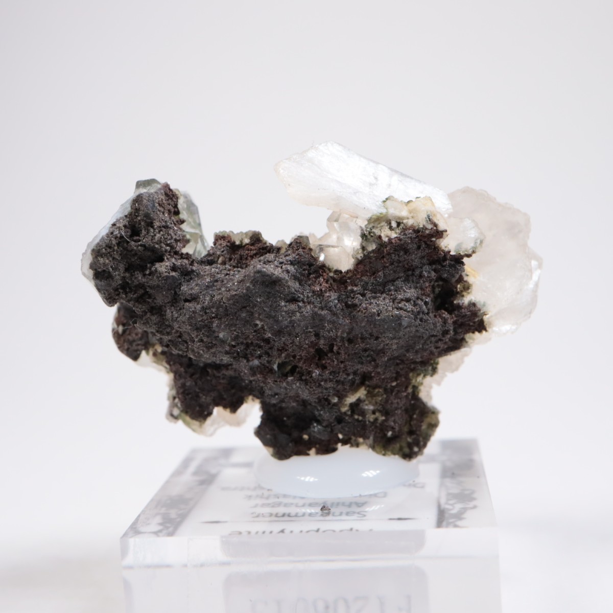 ����ɻ� ���ݥե��饤��