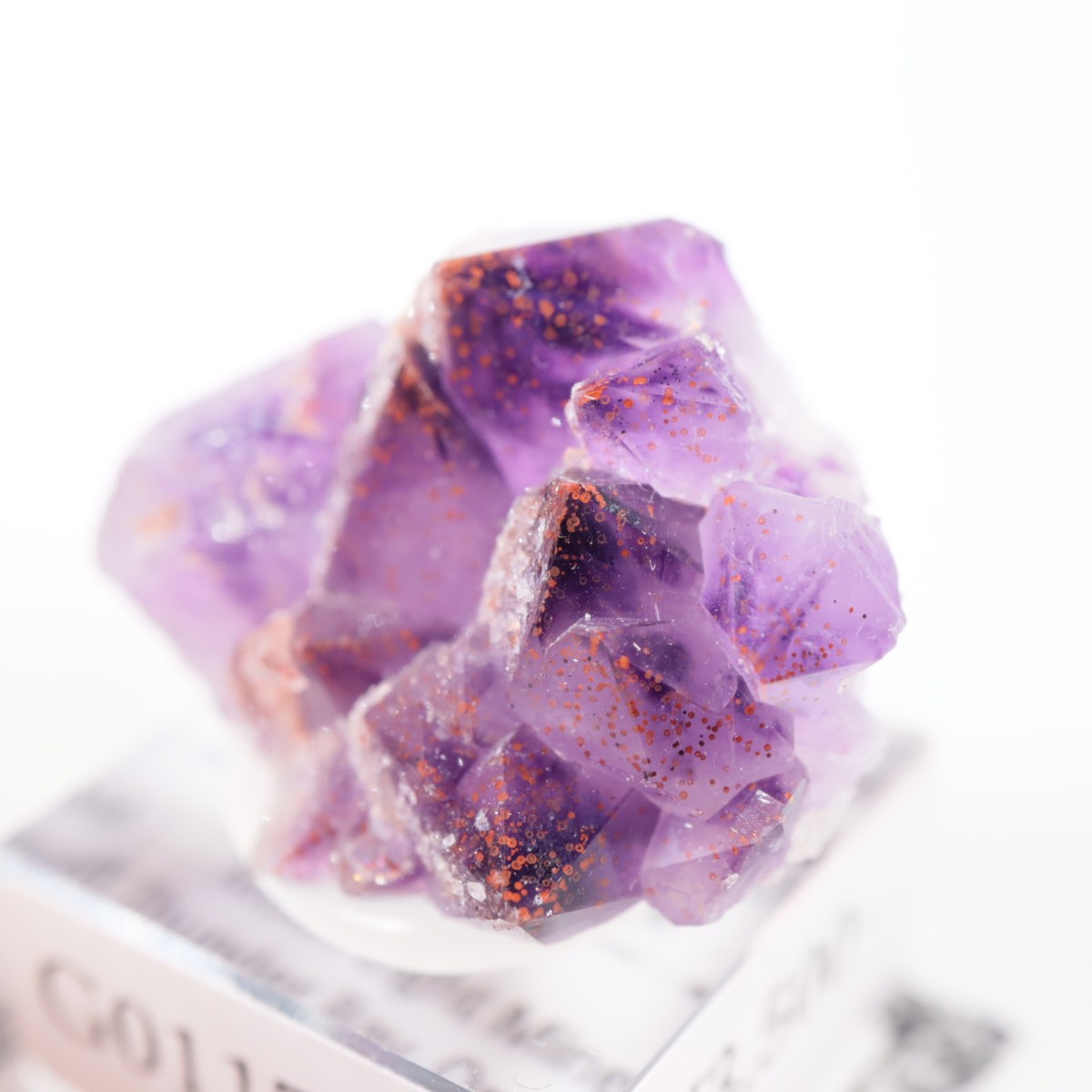 Moon Light�ۻ� ���᥷���ȡ��إޥ�����