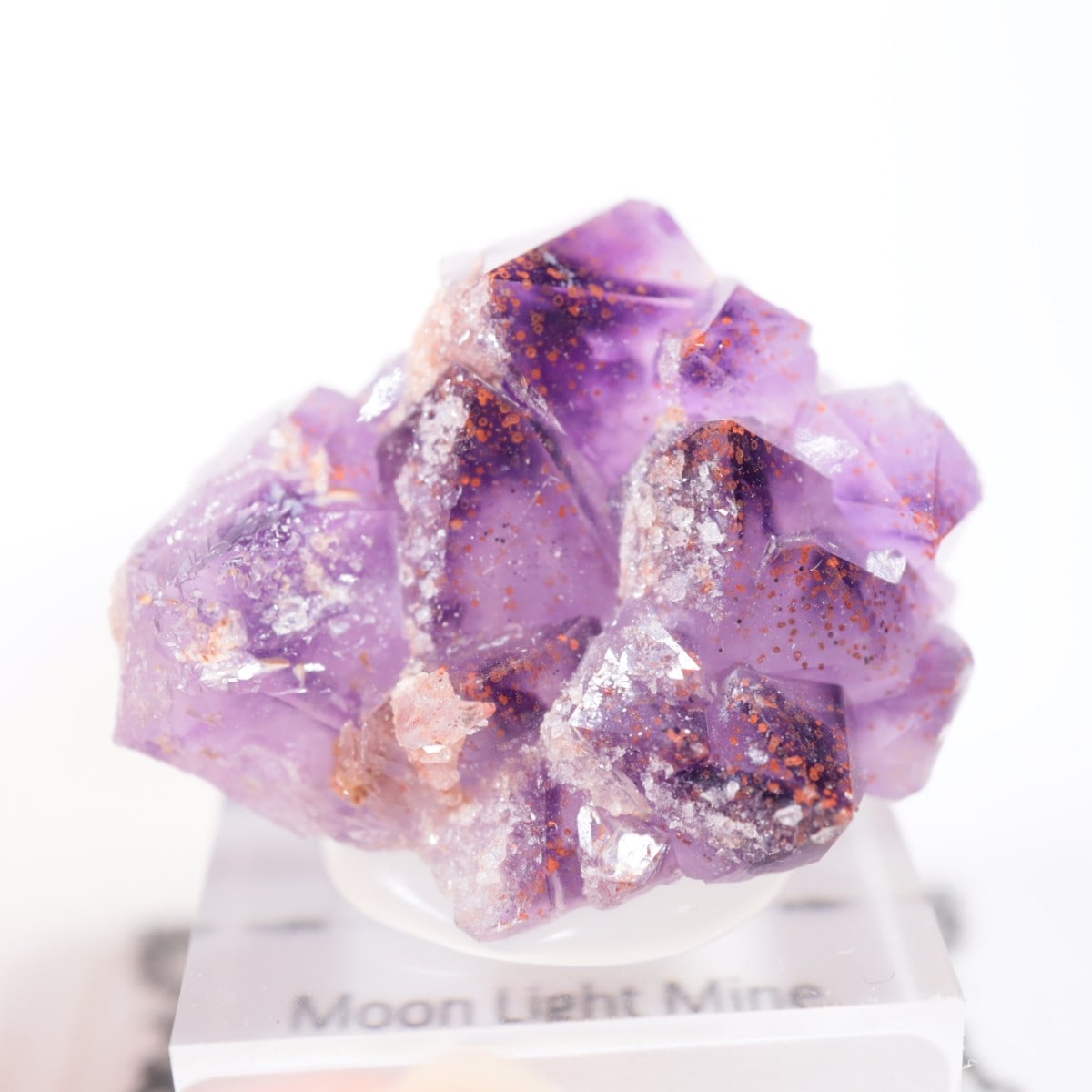 Moon Light�ۻ� ���᥷���ȡ��إޥ�����