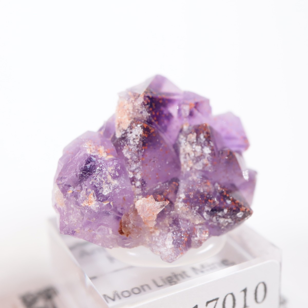 Moon Light�ۻ� ���᥷���ȡ��إޥ�����