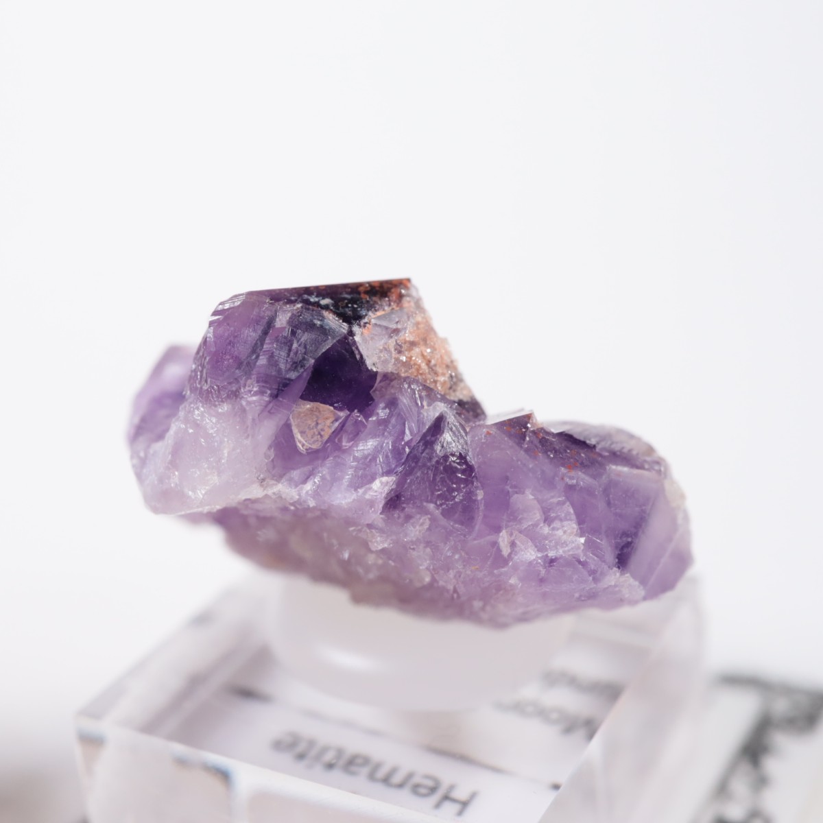 Moon Light�ۻ� ���᥷���ȡ��إޥ�����