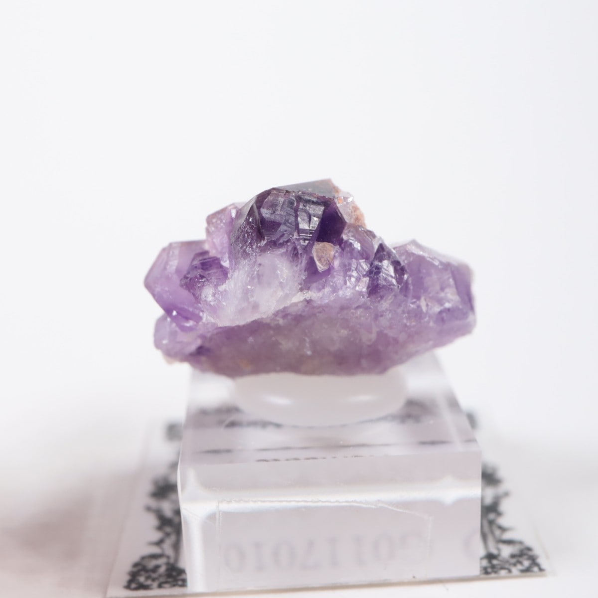 Moon Light�ۻ� ���᥷���ȡ��إޥ�����