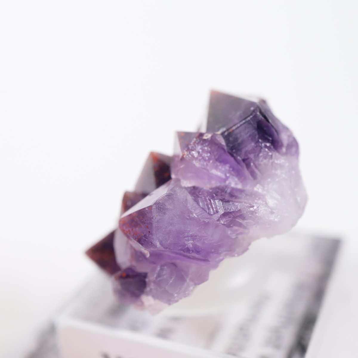 Moon Light�ۻ� ���᥷���ȡ��إޥ�����