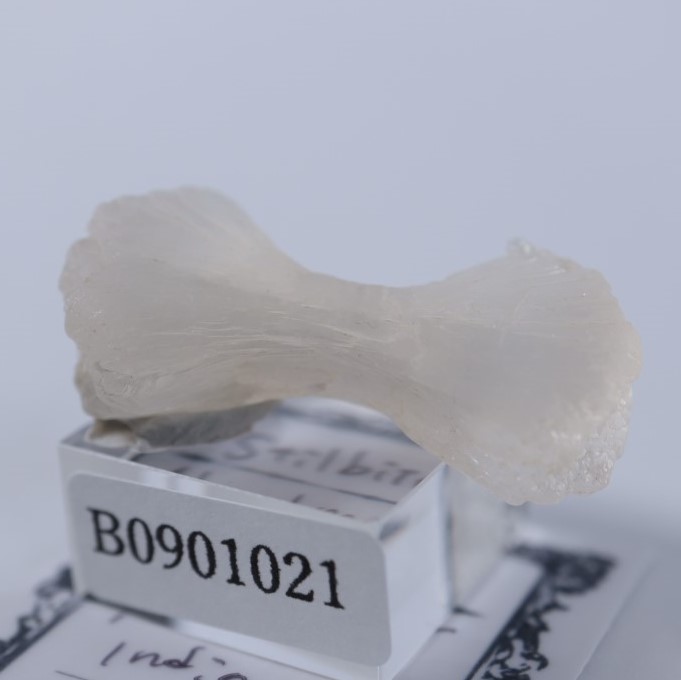 ���ƥ���Х���