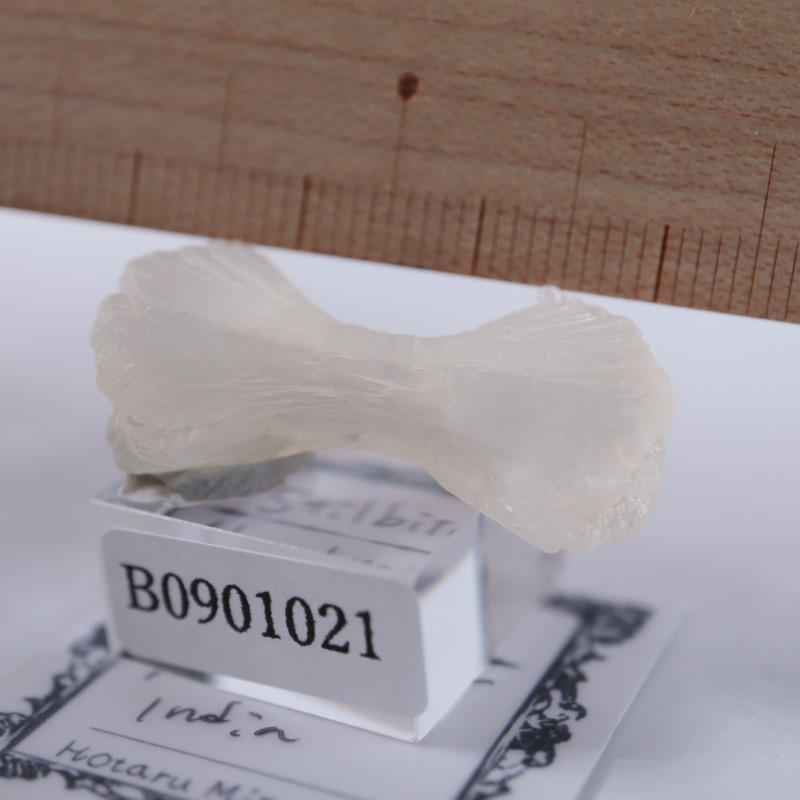 ���ƥ���Х���