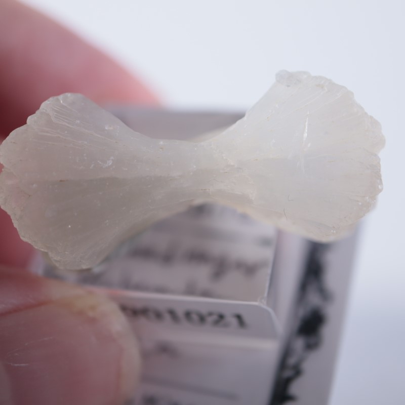 ���ƥ���Х���